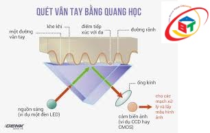 đầu đọc vân tay quang học